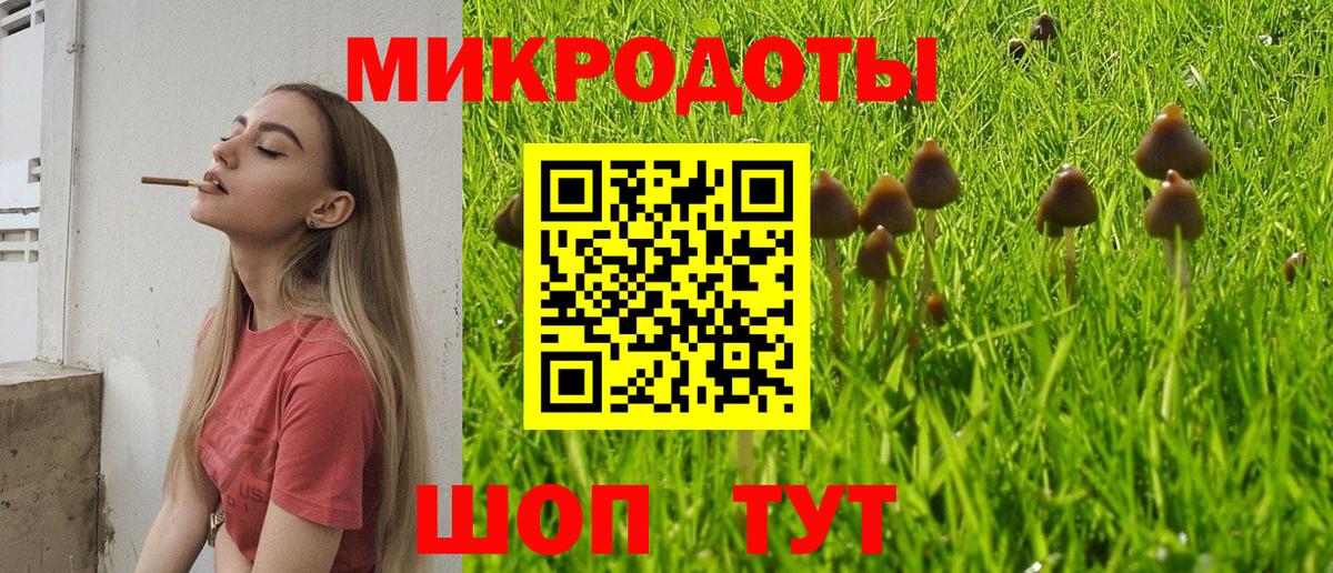Псилоцибиновые грибы прущие грибы  Галлюциногенные грибы мухоморы  Санкт-Петербург  где продают   Вход с VPN 