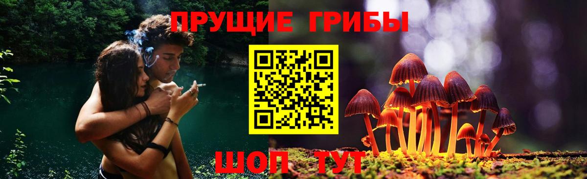 Галлюциногенные грибы Cubensis Санкт-Петербург